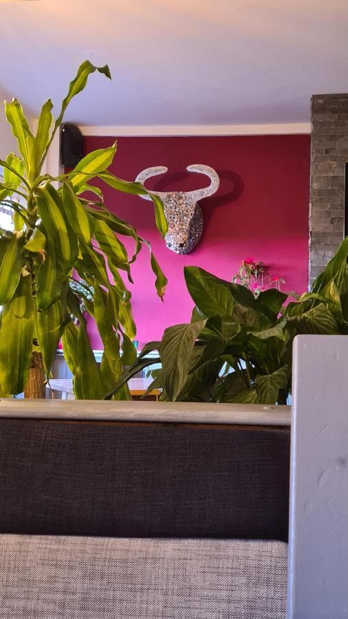 Y Branwen Restaurant & Rooms - Adult Only And Dog Friendly Harlech Buitenkant foto