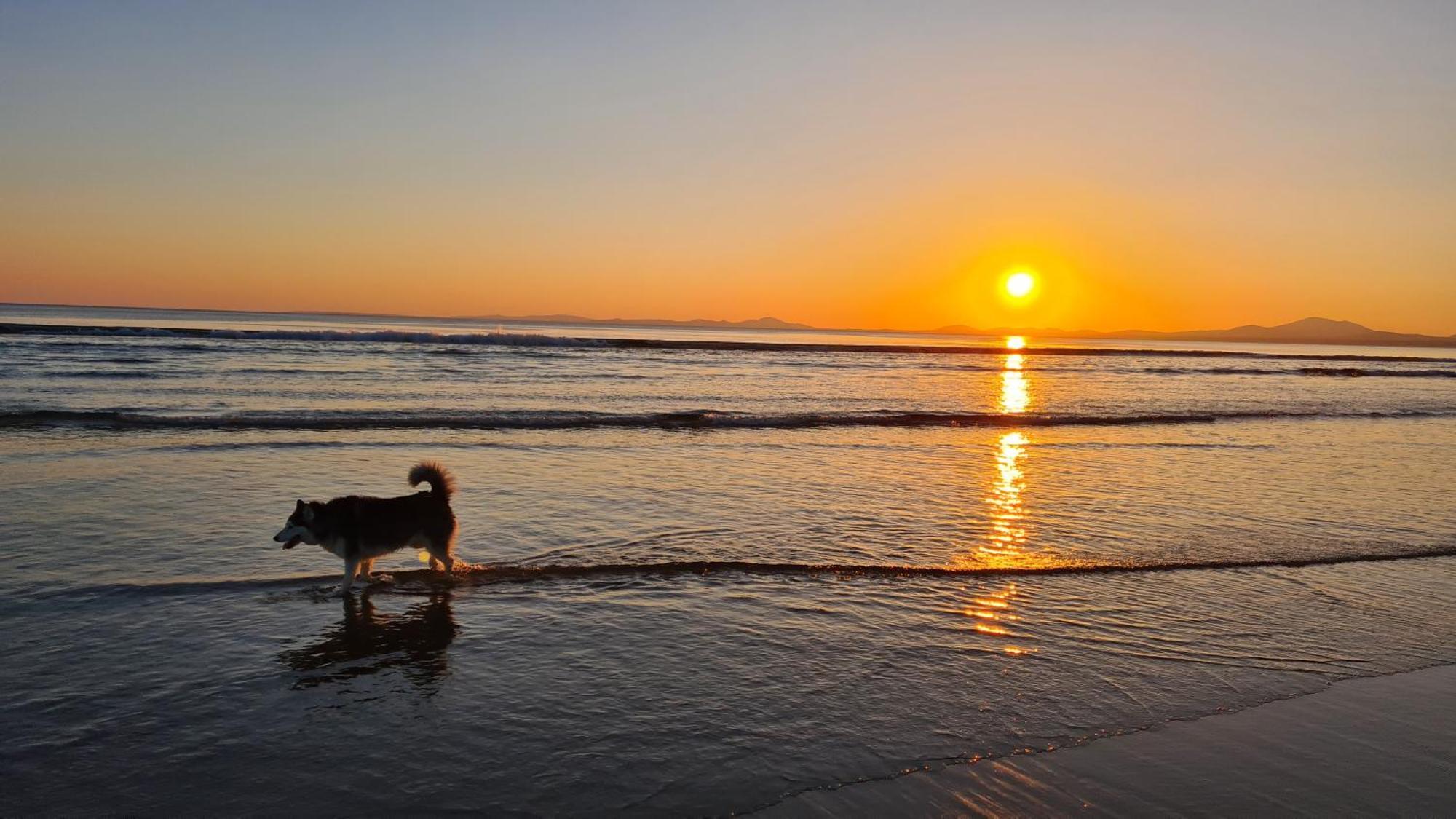 Y Branwen Restaurant & Rooms - Adult Only And Dog Friendly Harlech Buitenkant foto