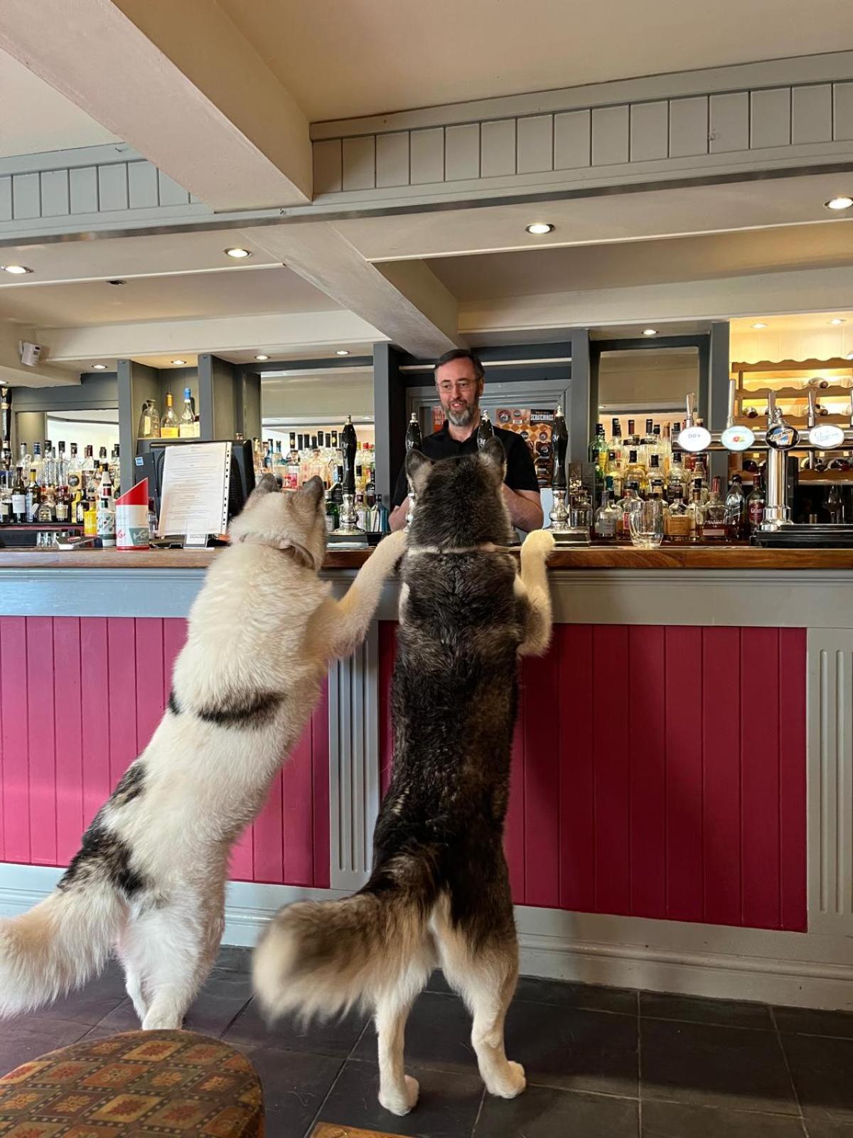 Y Branwen Restaurant & Rooms - Adult Only And Dog Friendly Harlech Buitenkant foto
